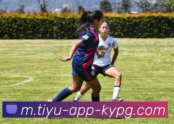 开元棋牌平台生态图